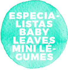 Especialistas em baby leaves e mini legumes 