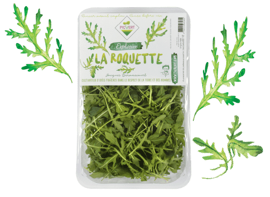 La roquette