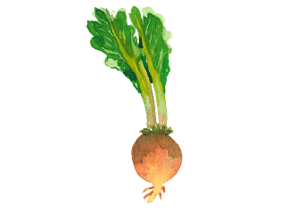 The beet