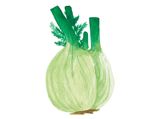 The Fennel