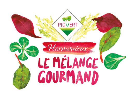 Le mélange gourmand