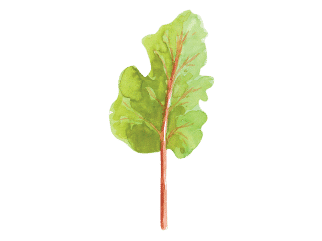 A red chard